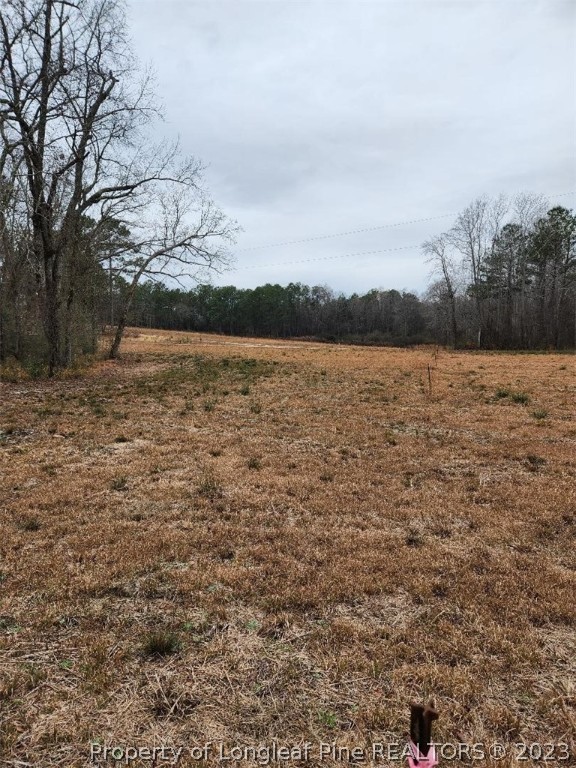 Elliott Bridge Road Bunnlevel, NC 28323 - Photo 13 of 19 Gallery Image 13