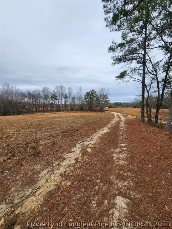 Elliott Bridge Road Bunnlevel, NC 28323 - Photo 14 of 19 Gallery Image 14