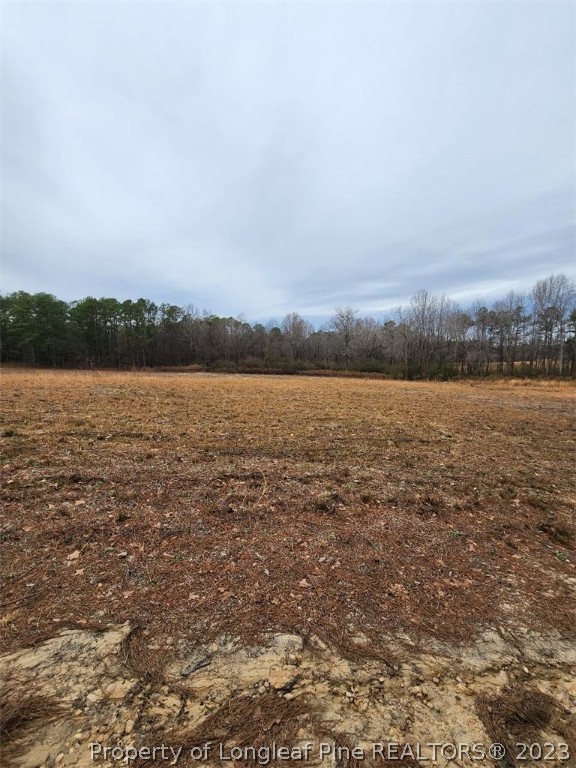 Elliott Bridge Road Bunnlevel, NC 28323 - Photo 15 of 19 Gallery Image 15