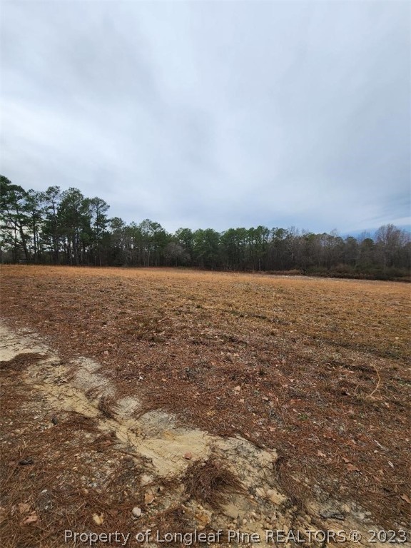 Elliott Bridge Road Bunnlevel, NC 28323 - Photo 16 of 19 Gallery Image 16