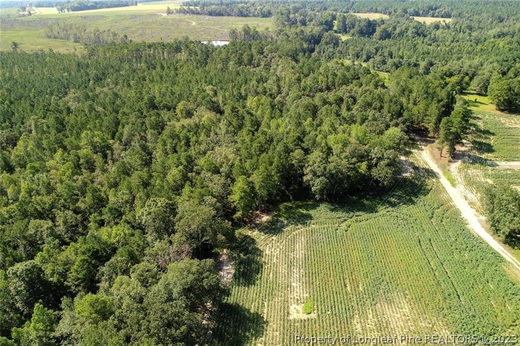Elliott Bridge Road Bunnlevel, NC 28323 - Photo 17 of 19 Gallery Image 17