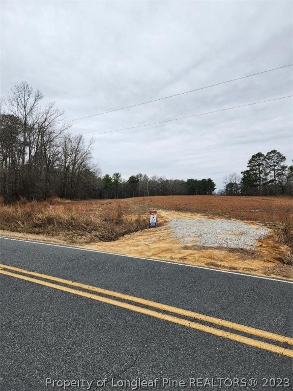 Elliott Bridge Road Bunnlevel, NC 28323 - Photo 2 of 19 Gallery Image 2