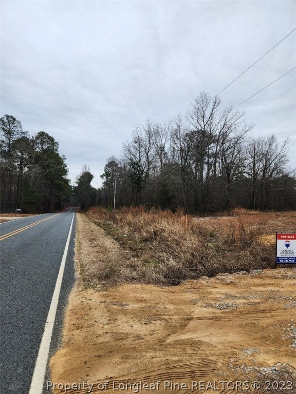 Elliott Bridge Road Bunnlevel, NC 28323 - Photo 3 of 19 Gallery Image 3