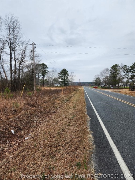 Elliott Bridge Road Bunnlevel, NC 28323 - Photo 4 of 19 Gallery Image 4