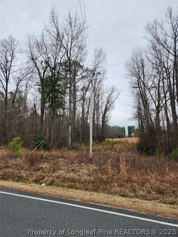 Elliott Bridge Road Bunnlevel, NC 28323 - Photo 5 of 19 Gallery Image 5