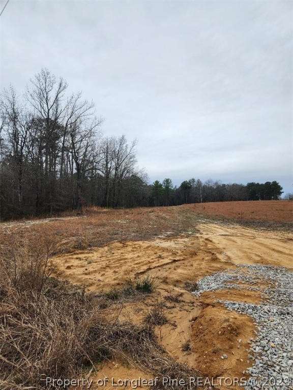 Elliott Bridge Road Bunnlevel, NC 28323 - Photo 6 of 19 Gallery Image 6