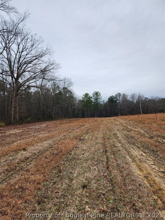 Elliott Bridge Road Bunnlevel, NC 28323 - Photo 7 of 19 Gallery Image 7