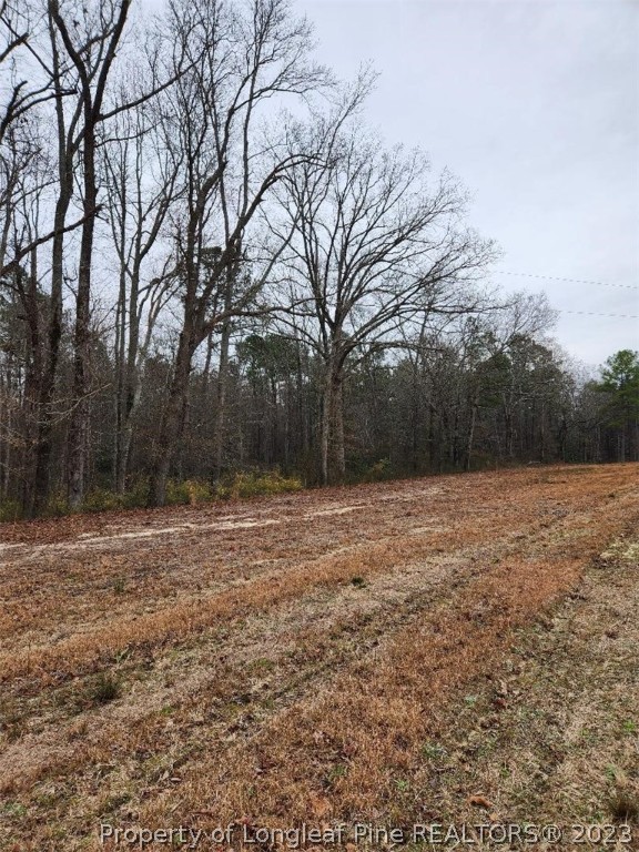 Elliott Bridge Road Bunnlevel, NC 28323 - Photo 8 of 19 Gallery Image 8