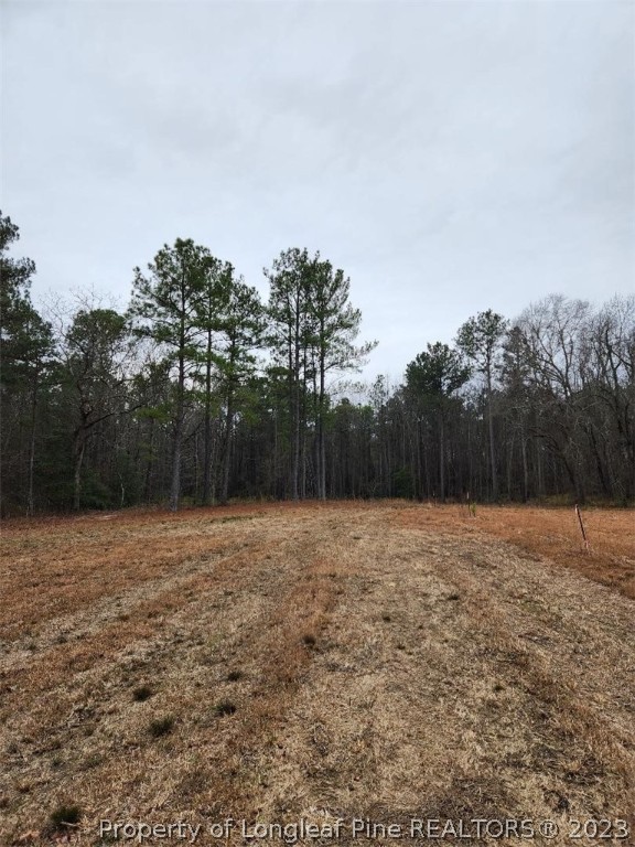 Elliott Bridge Road Bunnlevel, NC 28323 - Photo 9 of 19 Gallery Image 9