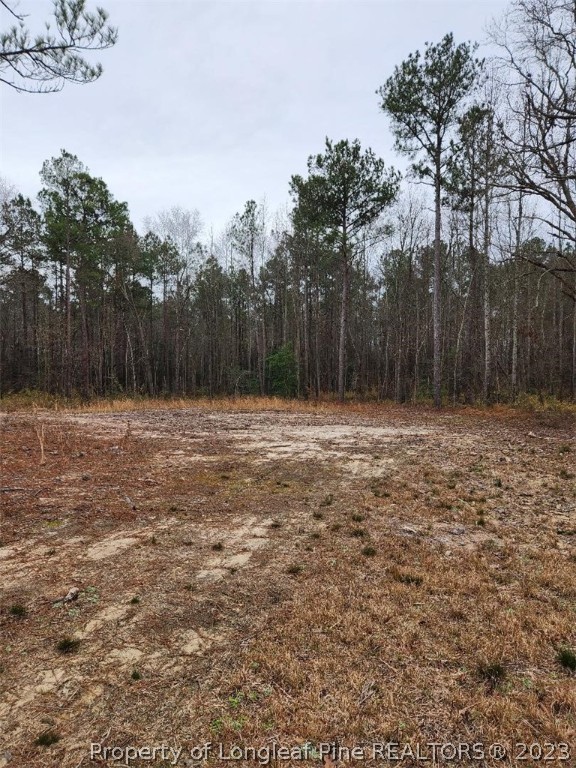 Elliott Bridge Road Bunnlevel, NC 28323 - Photo 10 of 19 Gallery Image 10