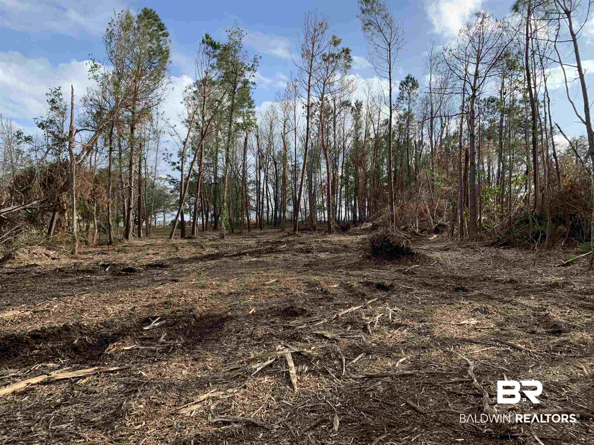 10501 County Road 1 Fairhope, AL 36532 - Photo 10 of 33