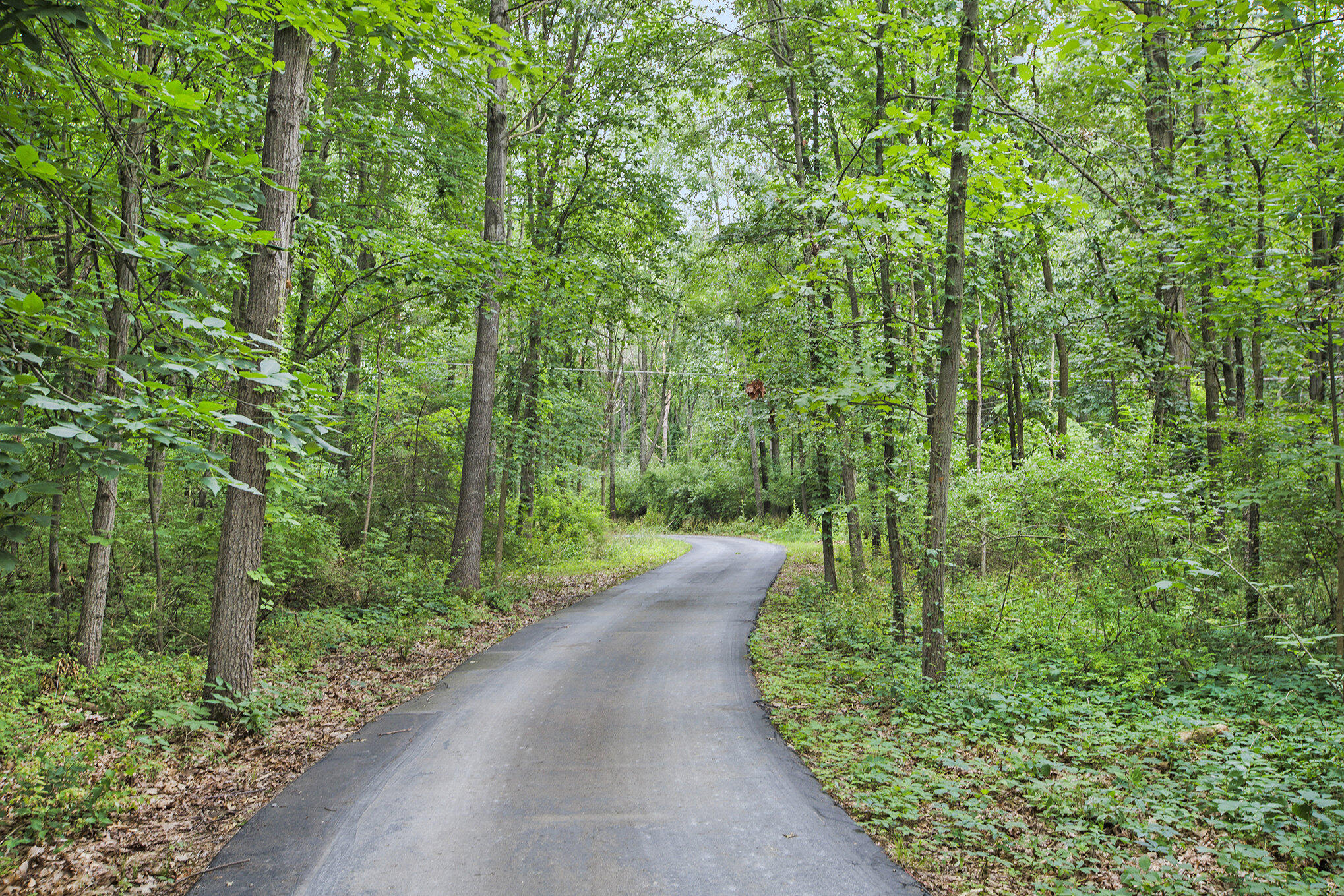 4887 Wylie Road Dexter, MI 48130 - Photo 53 of 58 055__mg_2830_199