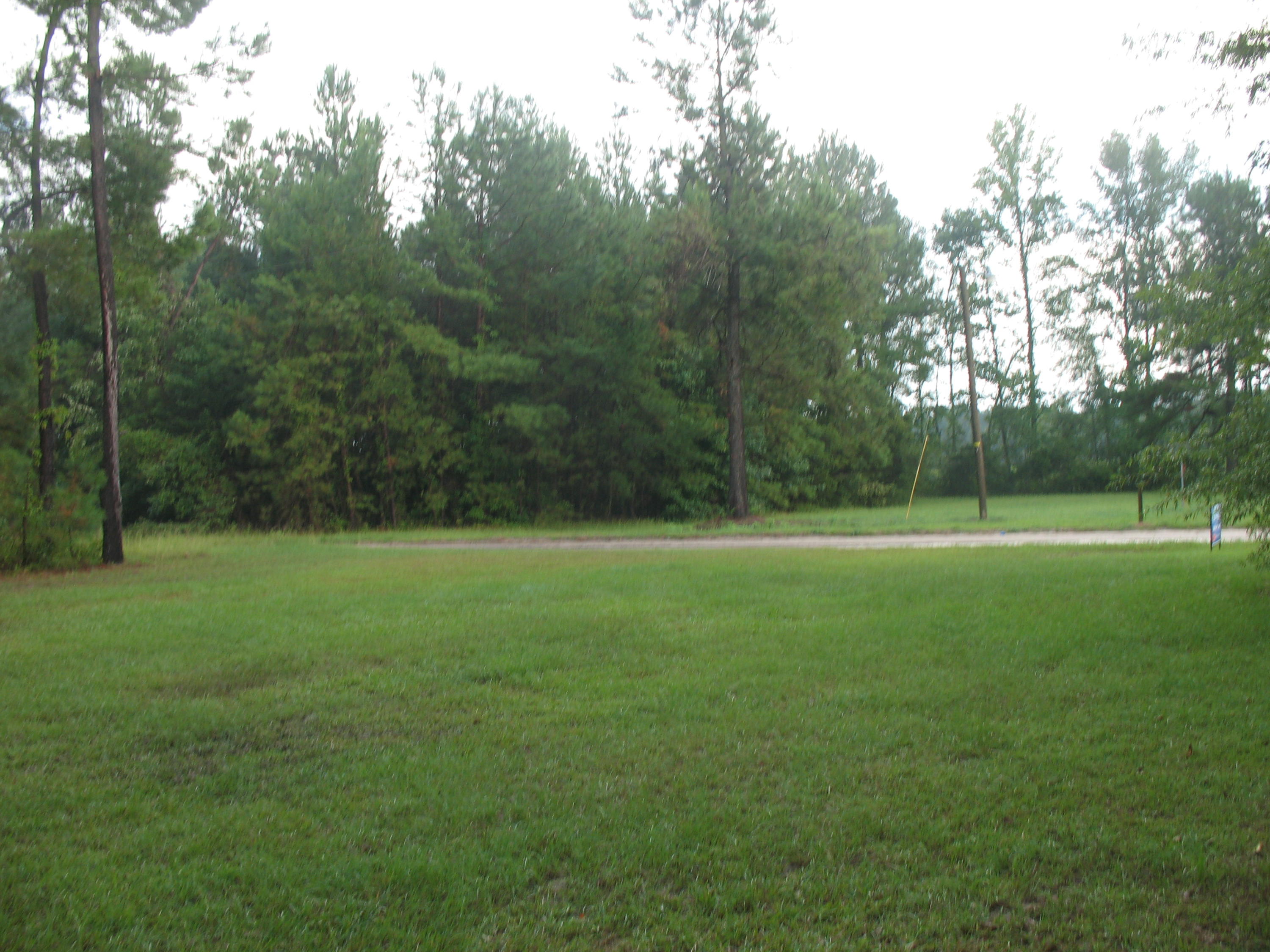 143 Bird Pond Road Reevesville, SC 29471 - Photo 13 of 13 IMG_8497