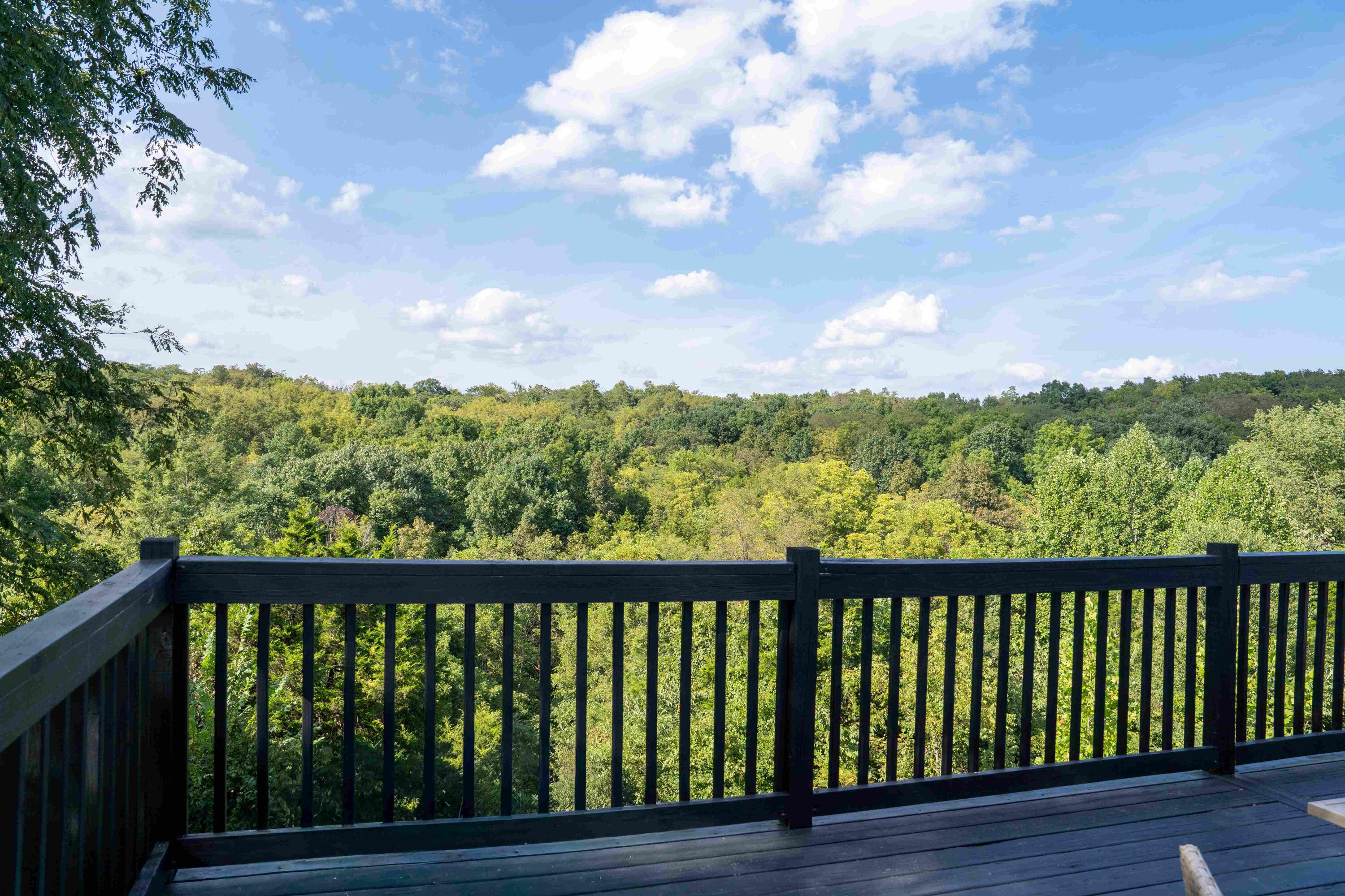 4355 Keefer Road Corinth, KY 41010 - Photo 46 of 50 DSC05924rs