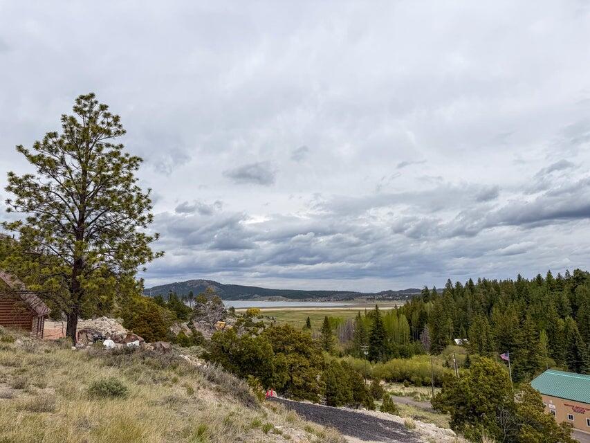 69 Forest Garden Hatch, UT 84735 - Photo 1 of 20 Lot 69 Forest Garden
