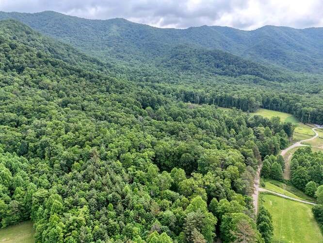 1245 Muskrat Creek Road Hayesville, NC 28904 - Photo 58 of 62