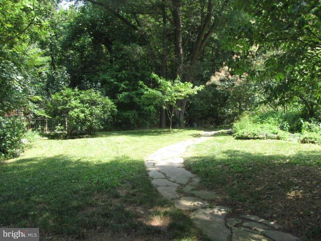 10503 Malone Street Silver Spring, MD 20902 - Photo 10 of 11 Spacious Backyard