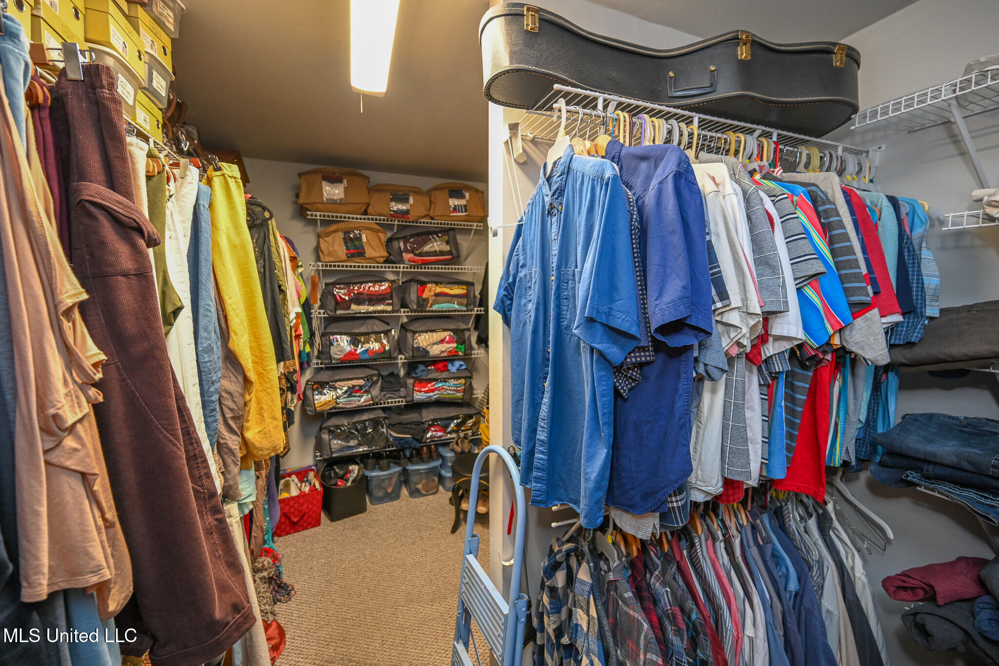 20 James Black Road Olive Branch, MS 38654 - Photo 19 of 56 HUGE primary closet