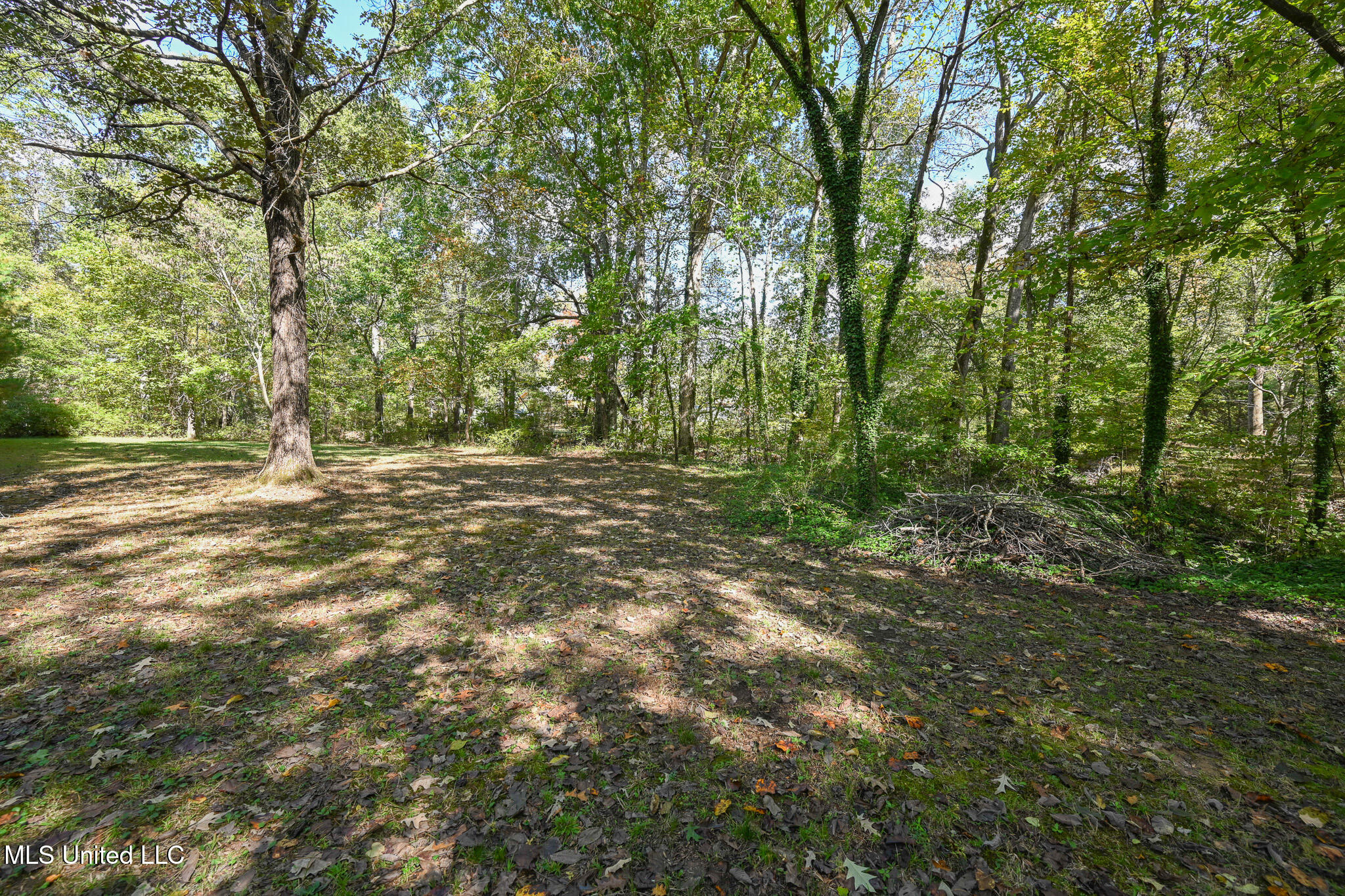 20 James Black Road Olive Branch, MS 38654 - Photo 39 of 56 yard