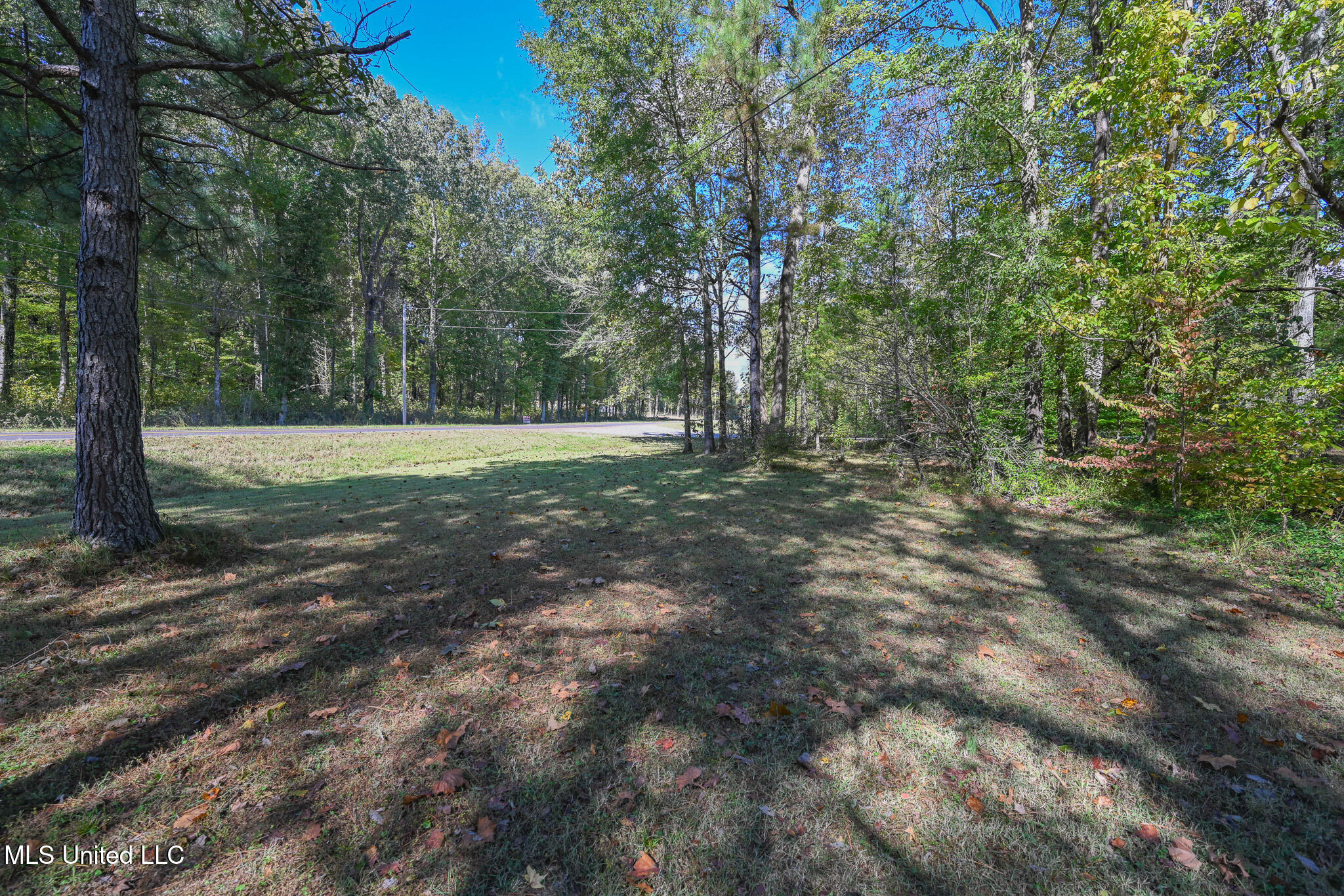 20 James Black Road Olive Branch, MS 38654 - Photo 54 of 56 yard