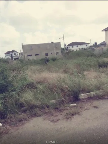 a view of a dry field with trees in the background