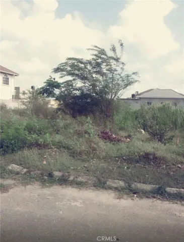 a view of a dry yard