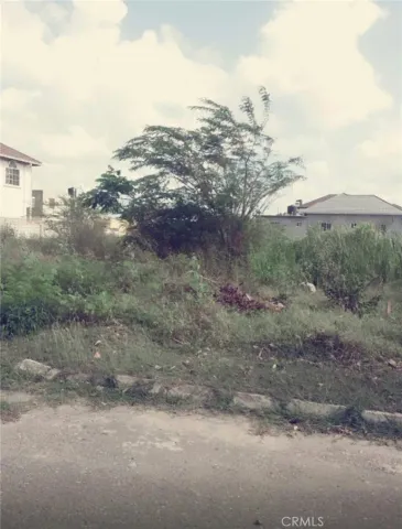 a view of a dry yard