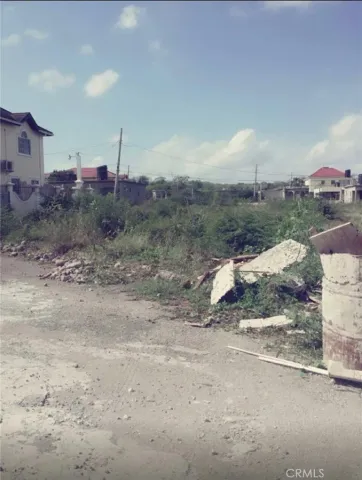 a view of a dry yard with wooden fence