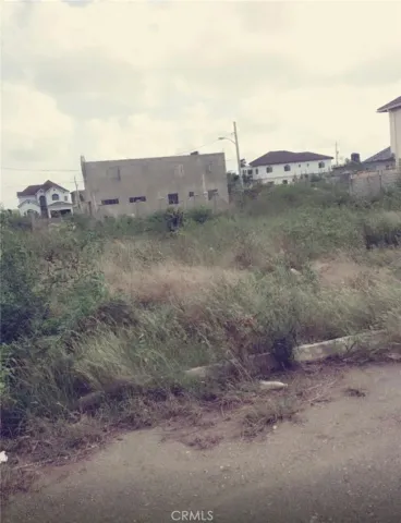 a view of a dry field with trees in the background
