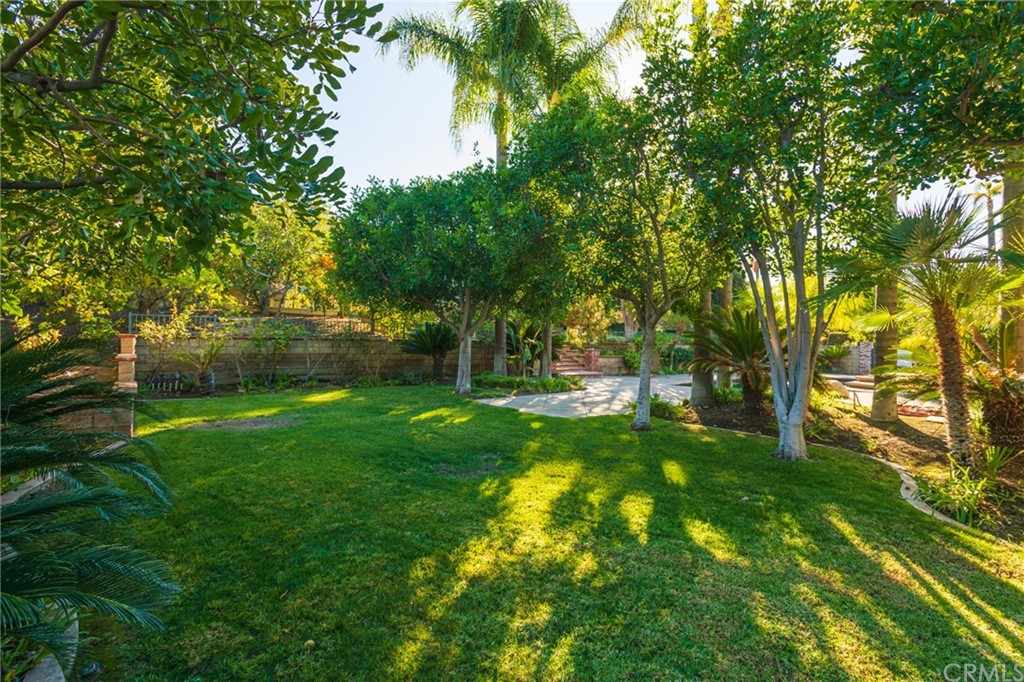 19051 Mesa Drive Villa Park, CA 92861 - Photo 19 of 28 a view of yard with green space and trees all around