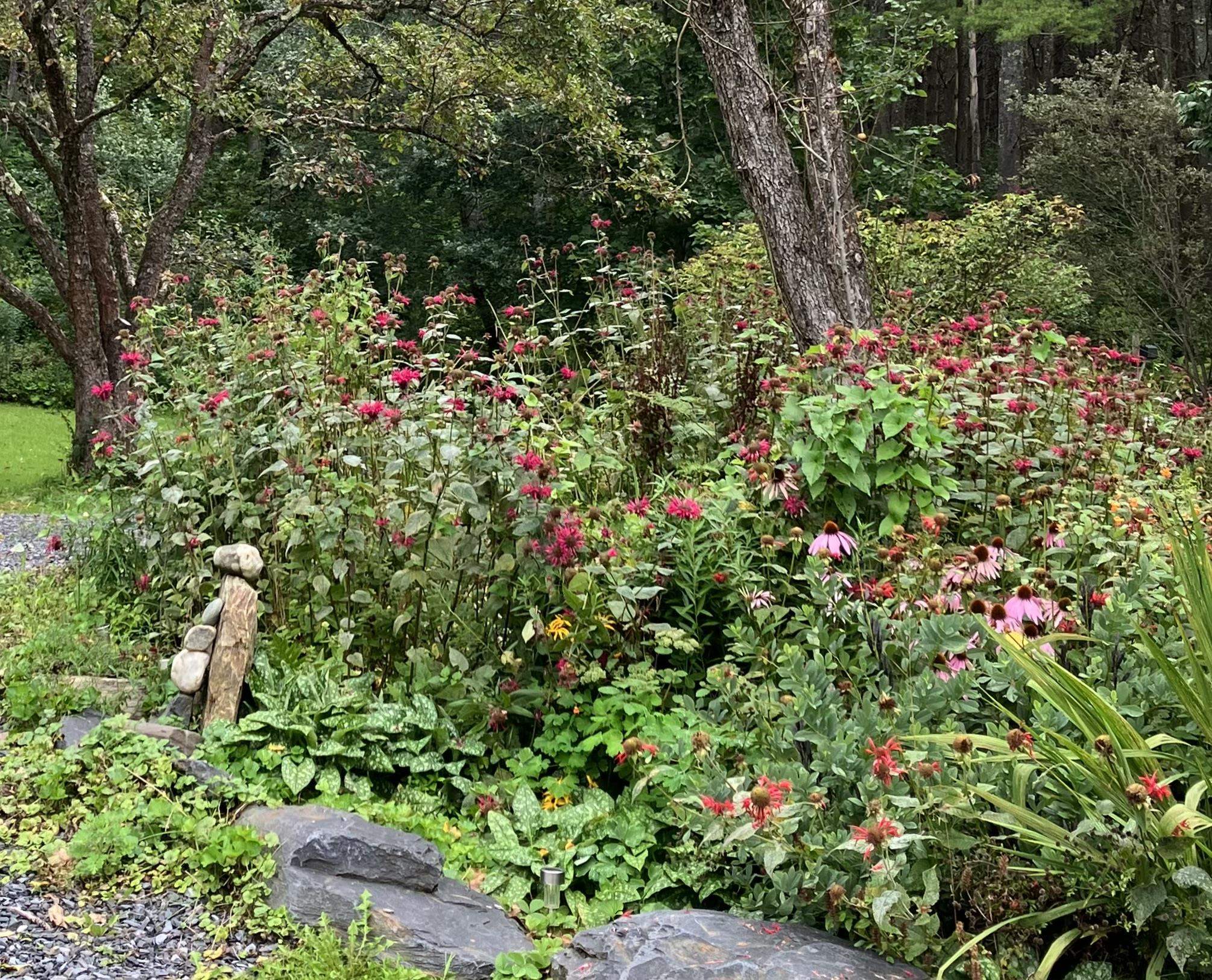 399 Center Road Middlesex, VT 05602 - Photo 21 of 38