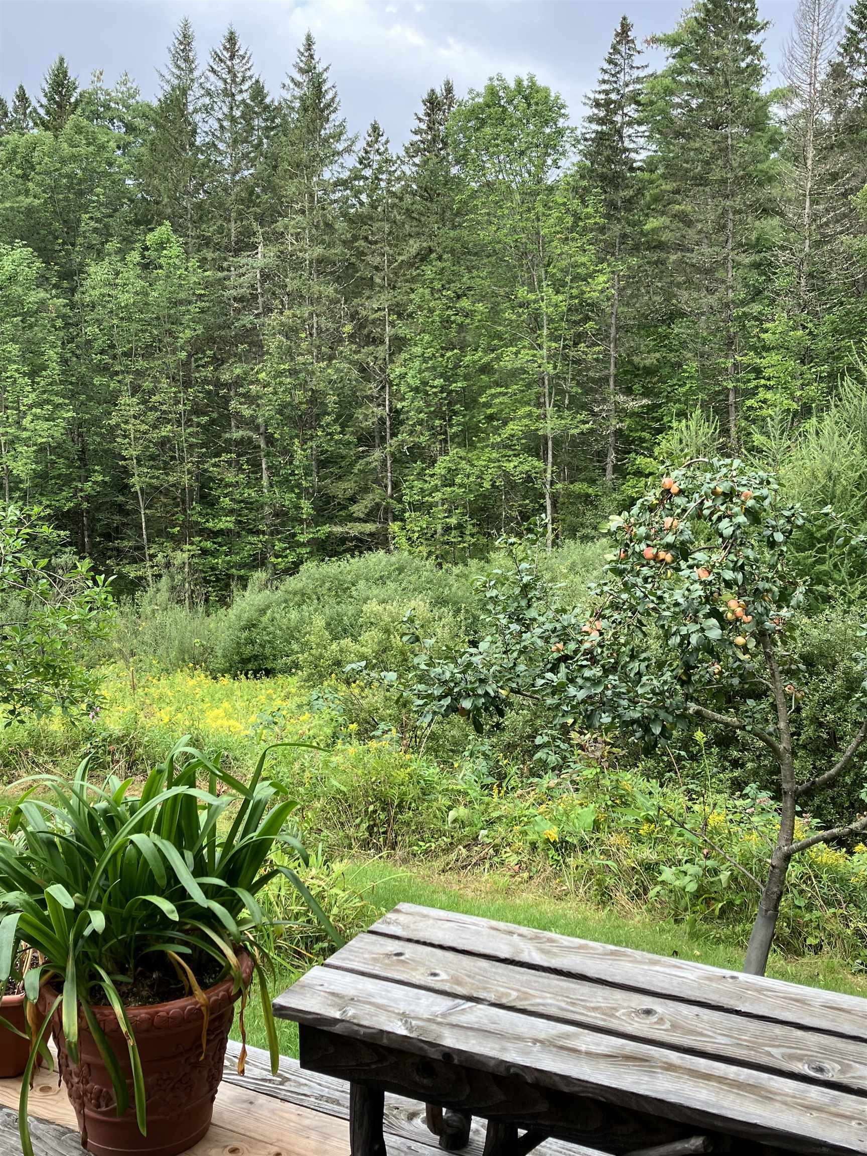 399 Center Road Middlesex, VT 05602 - Photo 22 of 38