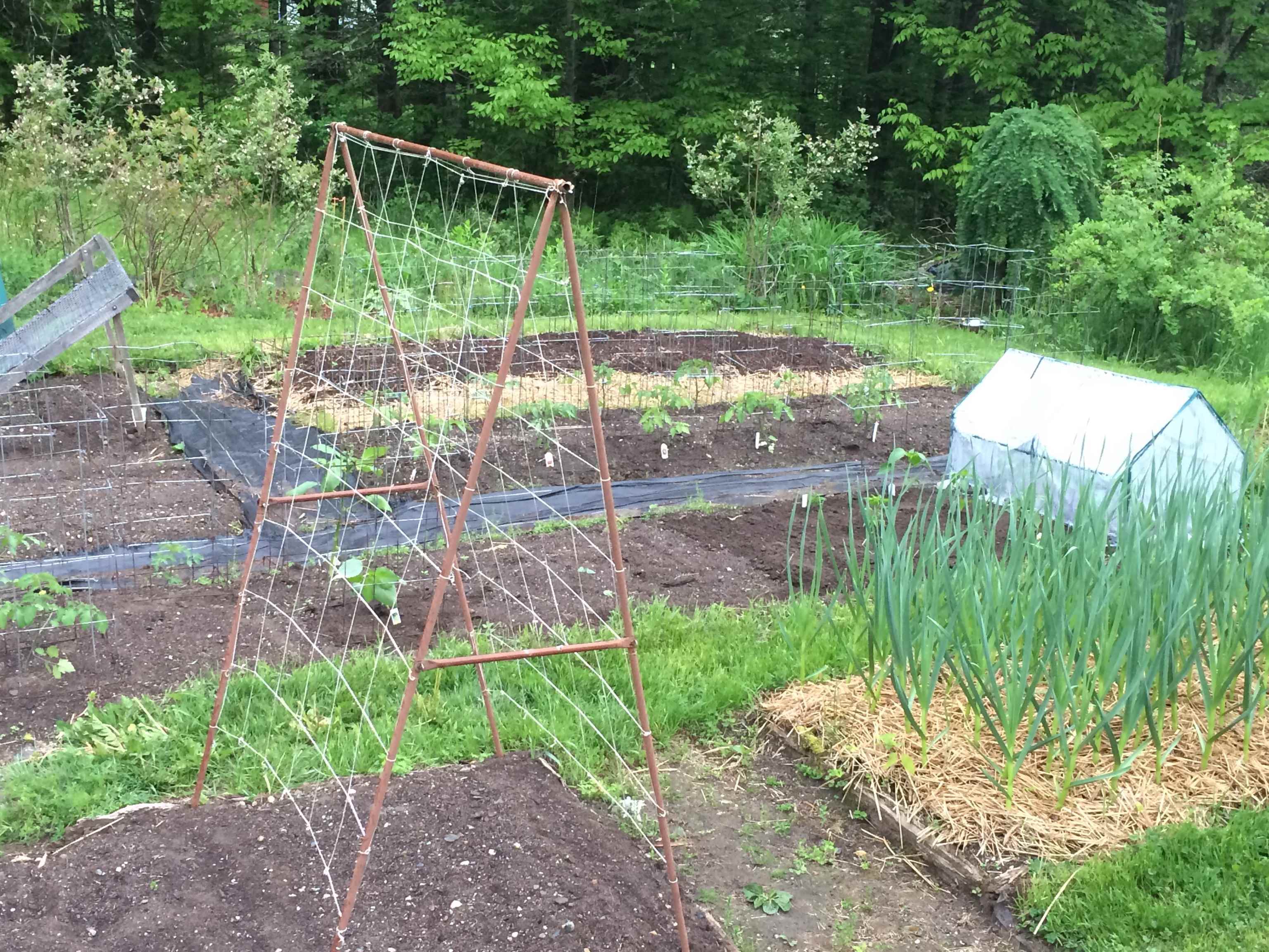 399 Center Road Middlesex, VT 05602 - Photo 26 of 38