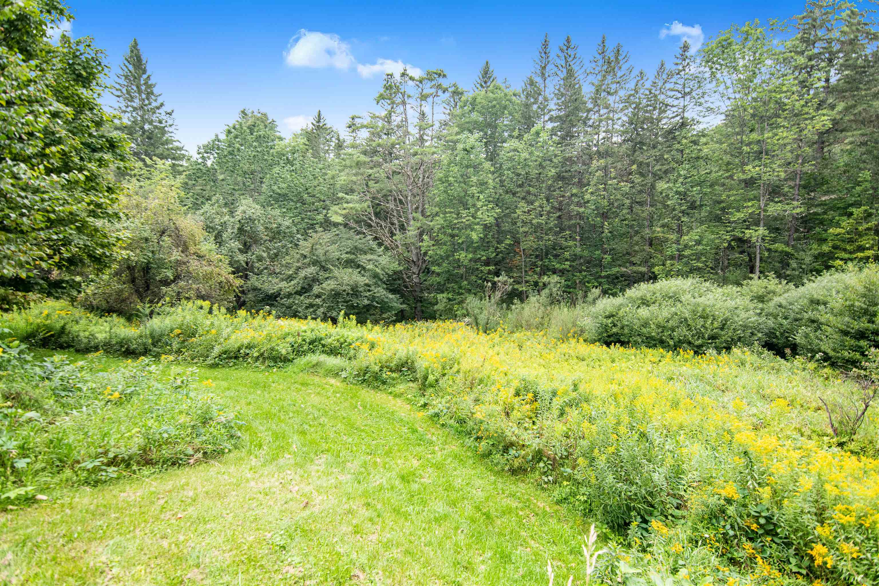 399 Center Road Middlesex, VT 05602 - Photo 31 of 38