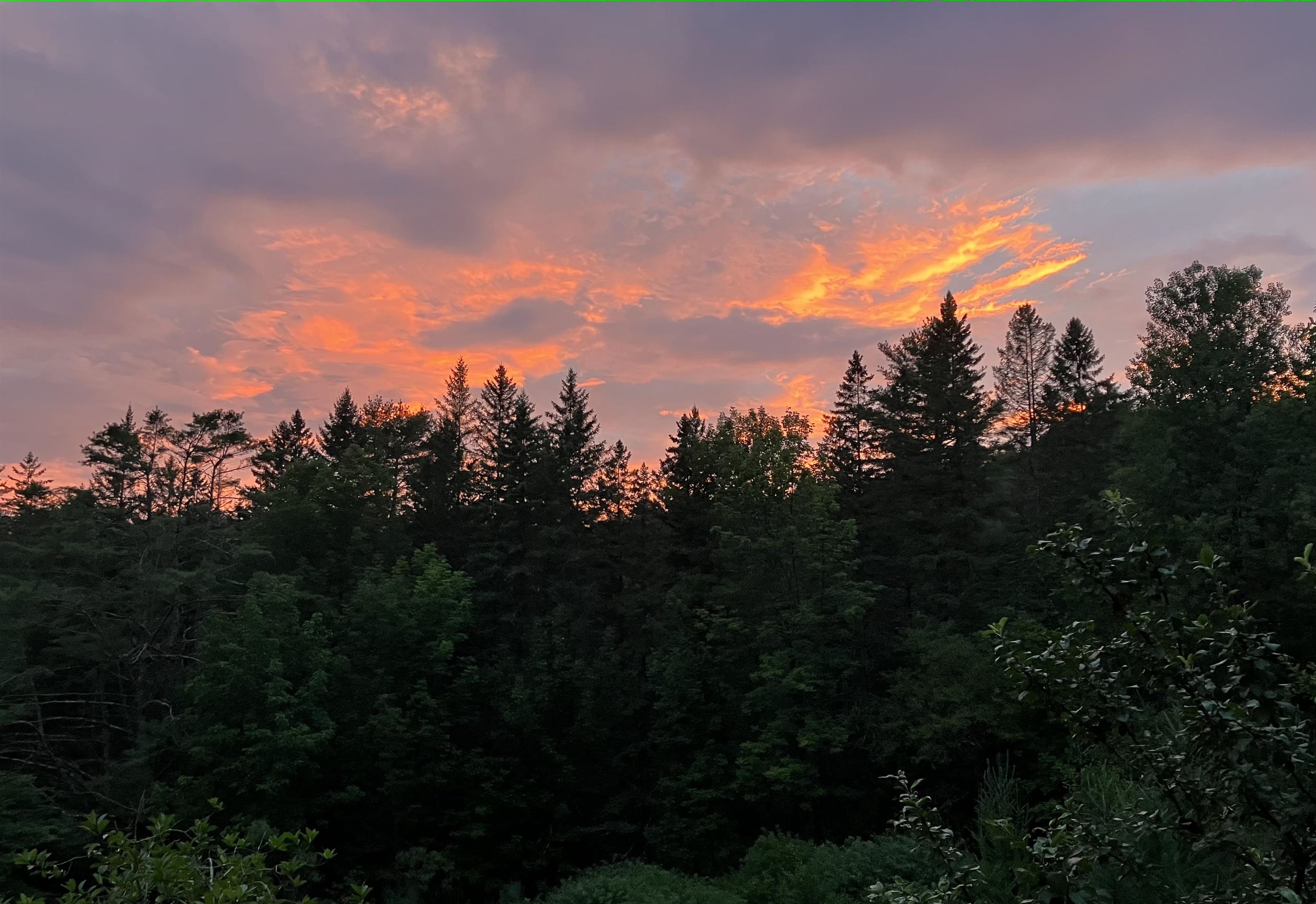 399 Center Road Middlesex, VT 05602 - Photo 32 of 38