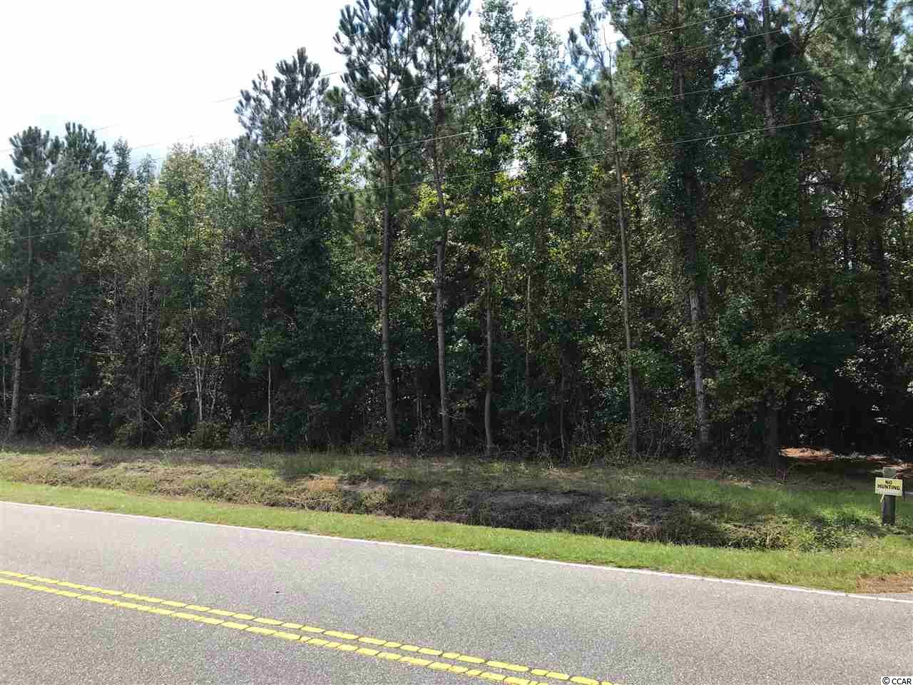 29.16-acres Old Reaves Ferry Road Conway, SC 29526 - Photo 1 of 5 Gallery Image 1