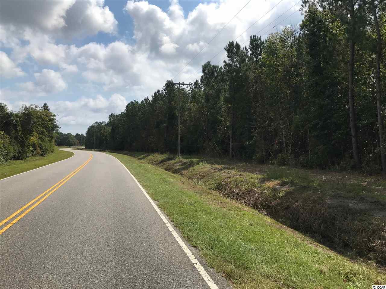 29.16-acres Old Reaves Ferry Road Conway, SC 29526 - Photo 3 of 5 Gallery Image 3