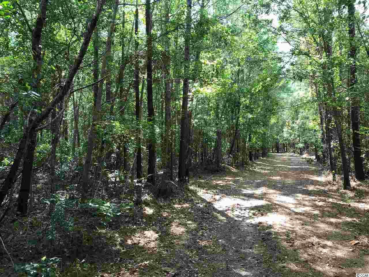 29.16-acres Old Reaves Ferry Road Conway, SC 29526 - Photo 4 of 5 Gallery Image 4