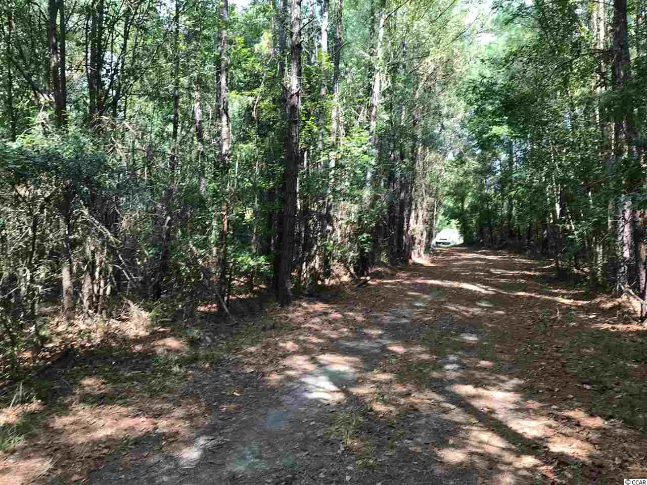 29.16-acres Old Reaves Ferry Road Conway, SC 29526 - Photo 5 of 5 Gallery Image 5