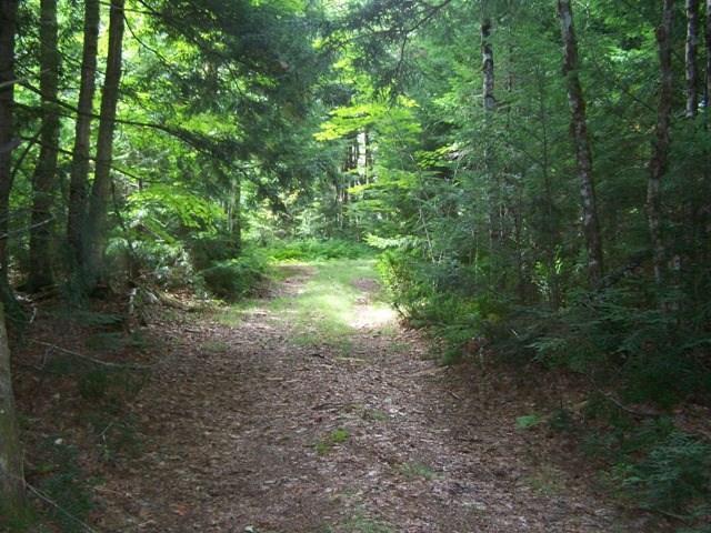 Lot 30 Mcginley Road Lee, ME 04455 - Photo 9 of 15 Photo