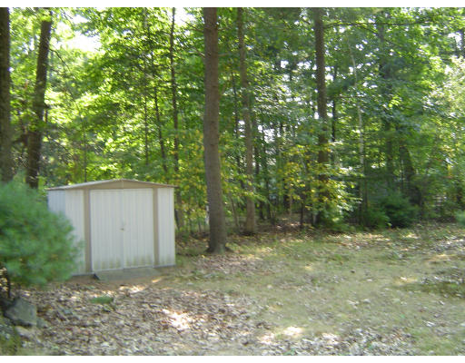 22 Walnut Road Chelmsford, MA 01824 - Photo 7 of 8