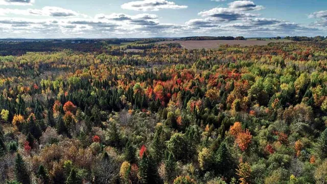 $64,500 | Lot 38 Off Us Rt 1 Highway, Houlton, ME 04730