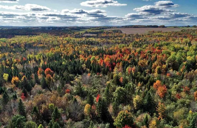 $64,500 | Lot 38 Off Us Rt 1 Highway, Houlton, ME 04730