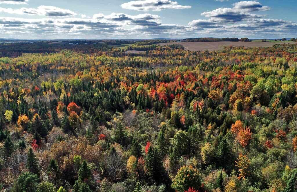 Lot 38 Off Us Rt 1 Highway Houlton, ME 04730 - Photo 7 of 15 maine-land-on-sled-atv-trai