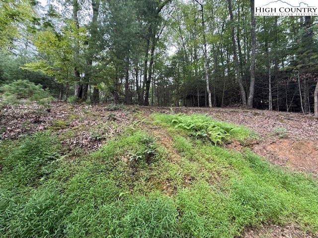 1269 Howell Road Lansing, NC 28643 - Photo 34 of 34 a view of backyard with green space