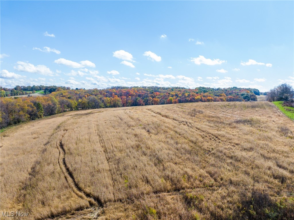 Emerick Road Kensington, OH 44427 - Photo 49 of 50 View of rural area