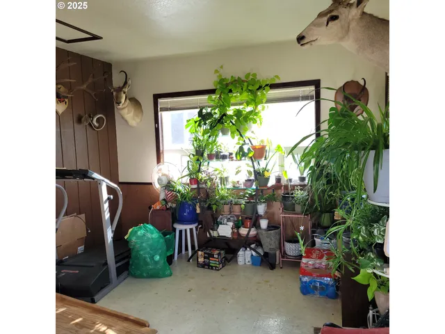 view of backyard with outdoor seating and plants