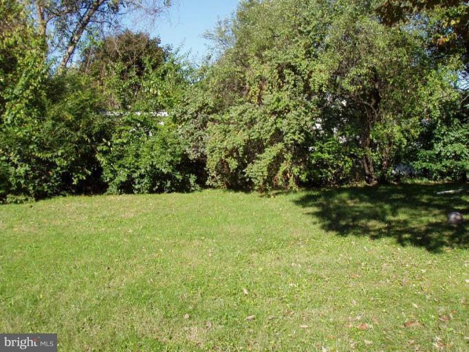123 North Cypress Road Sterling, VA 20164 - Photo 2 of 2 Back yard