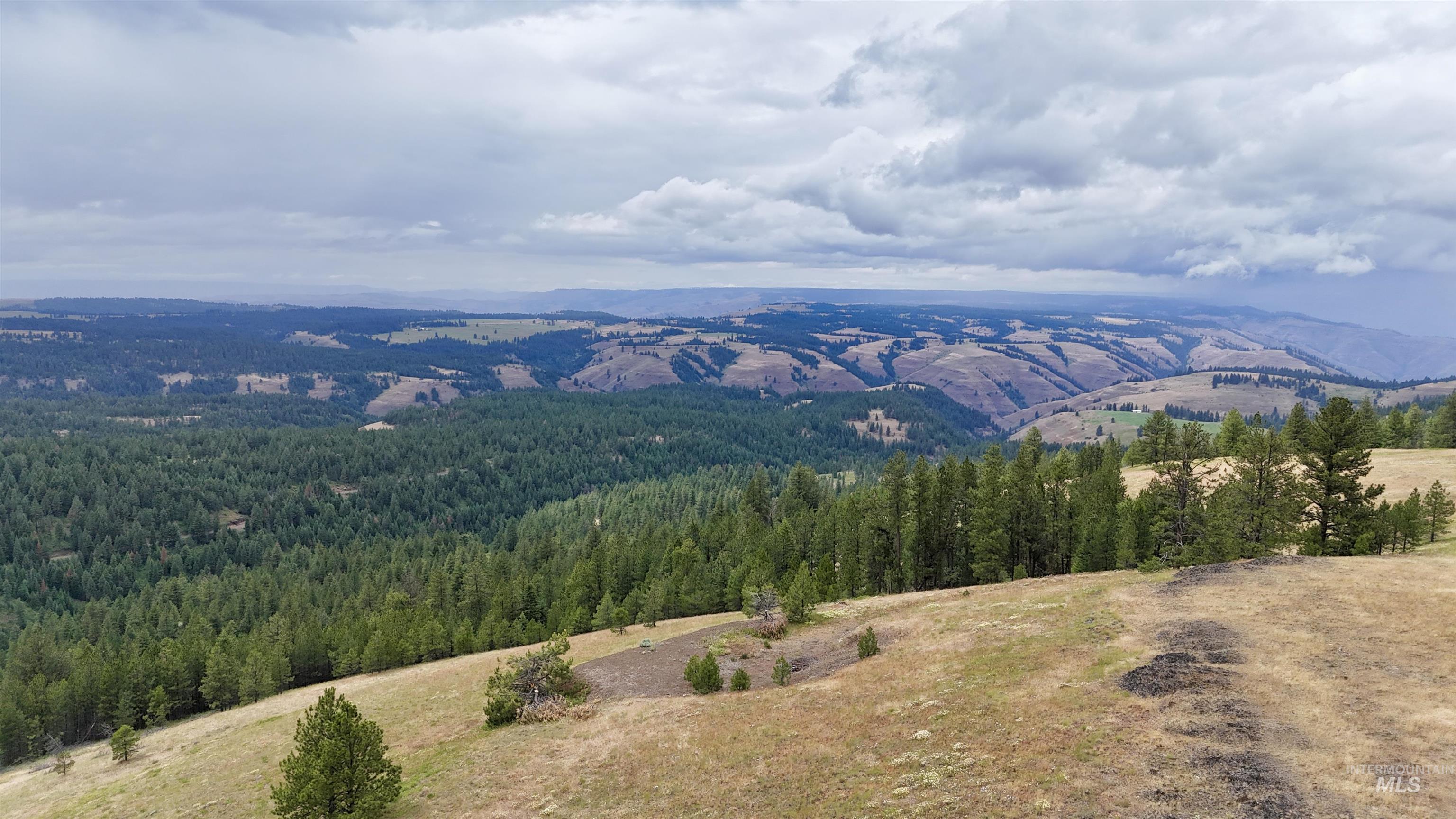 Lot 91 Pilgrim Ridge Road White Bird, ID 83554 - Photo 2 of 35