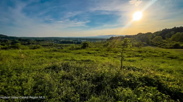 a view of a city with lush green forest